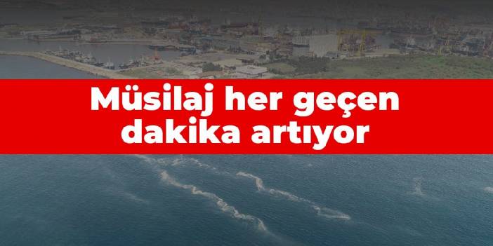 Müsilaj her geçen dakika artıyor