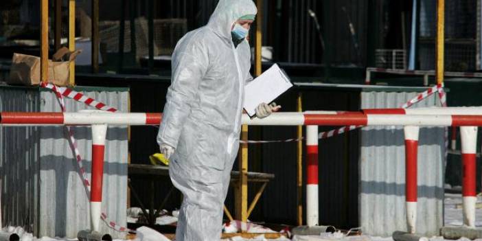 Çin: H3N8 kuş gribi insanda tespit edildi