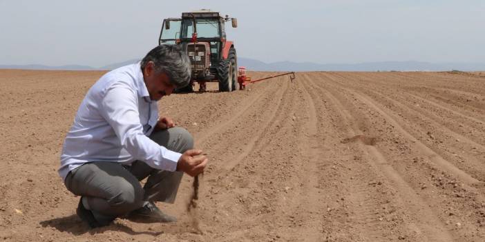 'Tahıl ambarından' kötü haber: Verim yüzde 50'nin altına düşebilir