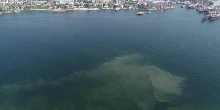 Prof. Dr. Tecer'den müsilaj uyarısı: Denizi öldürebiliriz