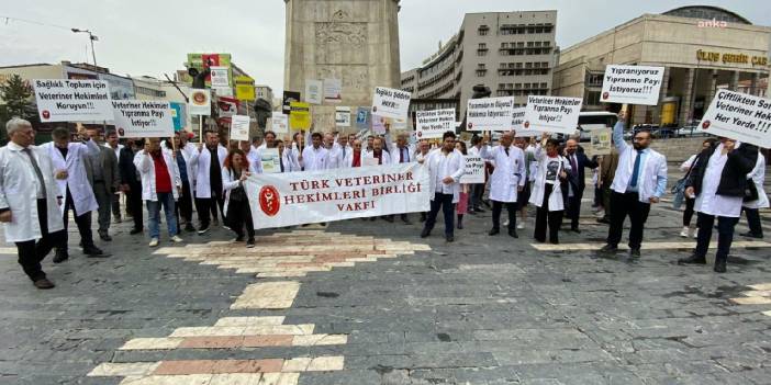 Veterinerler de sokakta: Şiddet mağduruyuz