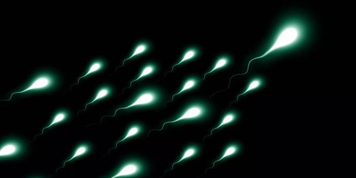 Foods to avoid for sperm quality