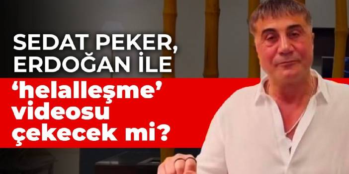 Sedat Peker, Erdoğan ile 'helalleşme' videosu çekecek mi? Timur Soykan anlattı...