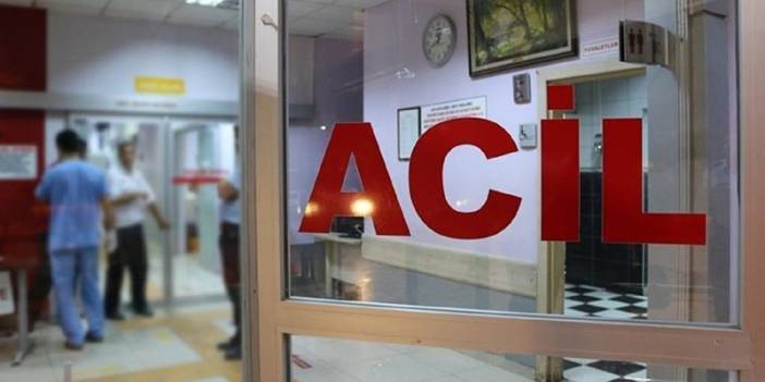 Kızılırmak'tan tutulan balığı yiyen 9 kişi zehirlendi