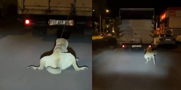 07 AFP 863: Bu vicdansız derhal mahkemeye çıkarılmalı