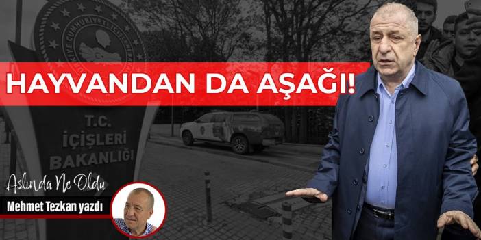 Hayvandan da aşağı!