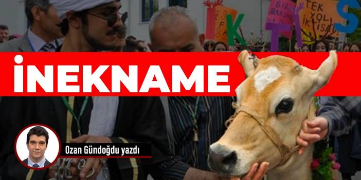 İNEKNAME