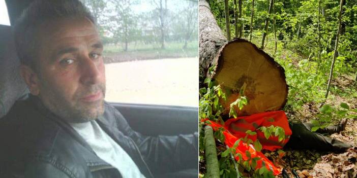 Kestiği ağacın altında kalıp, öldü