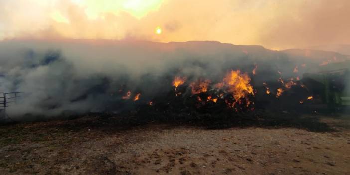 Çiftlikteki yangında tonlarca saman ve yem kül oldu