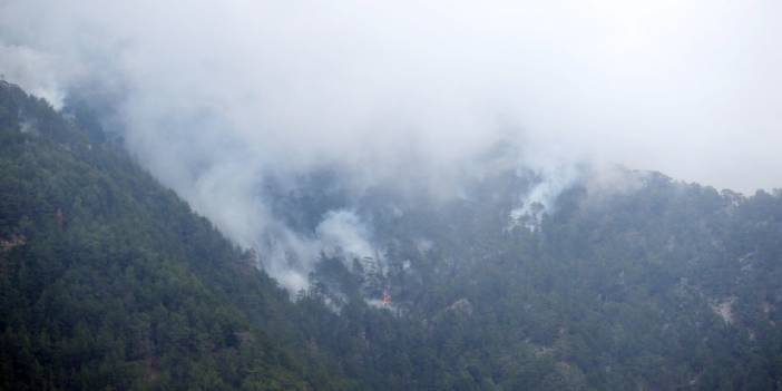Antalya'da orman yangını