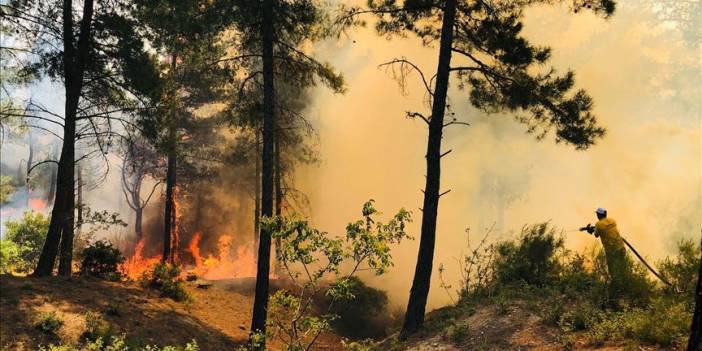Amanos Dağları'nda orman yangını