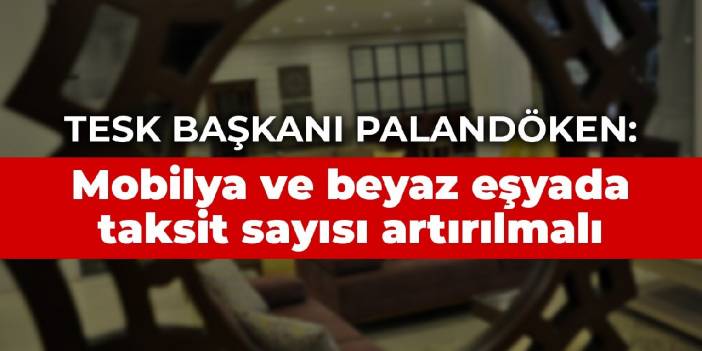 TESK Başkanı Palandöken: Mobilya ve beyaz eşyada taksit sayısı artırılmalı