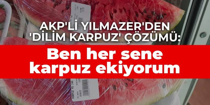 AKP'li Yılmazer'den 'dilim karpuz' çözümü: Ben her sene ekiyorum