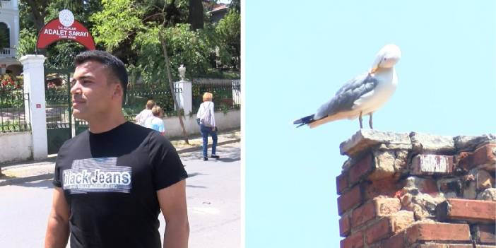 Kavgada ısırılarak koparılan kulağını martı kaptı