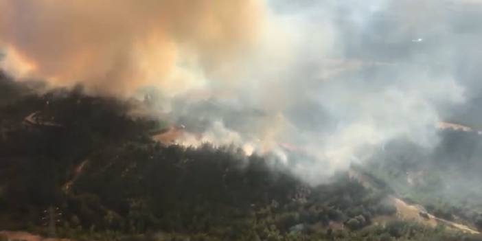 Adana'da orman yangını