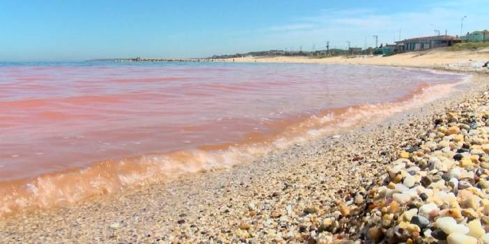 Karadeniz'deki renk değişiminin sırrı çözüldü