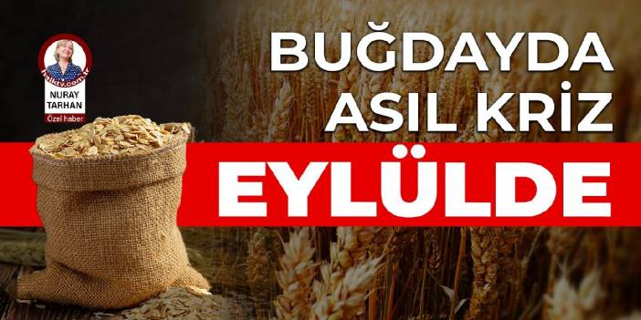 Buğdayda asıl kriz eylülde