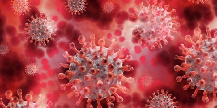 Meksika’da ilk maymun çiçeği vakası tespit edildi