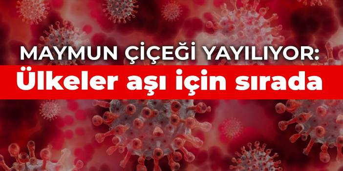 Maymun çiçeği yayılıyor: Ülkeler aşı için sırada
