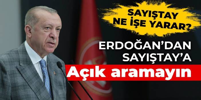 Erdoğan'dan Sayıştay'a: Açık aramayın