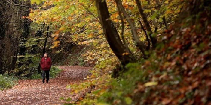 Polonezköy 'kesin korunacak alan' ilan edildi