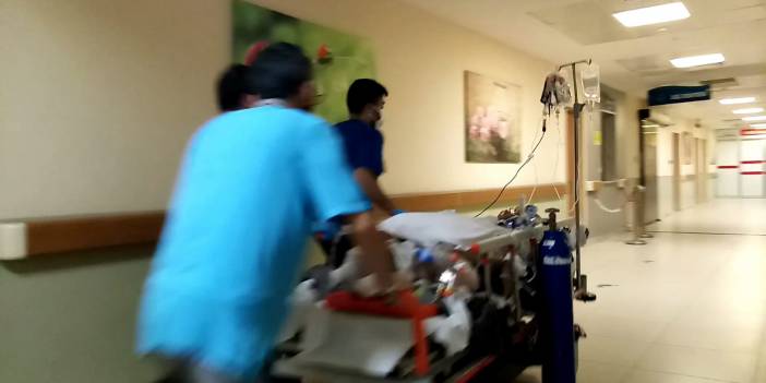 Kestiği ağacın altında kalıp öldü