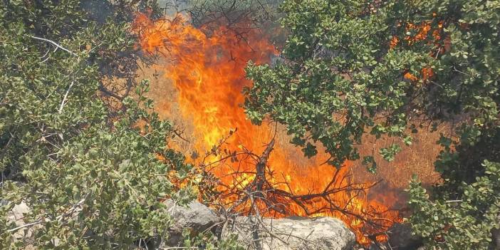 Muğla'da 3 ayrı noktada orman yangını