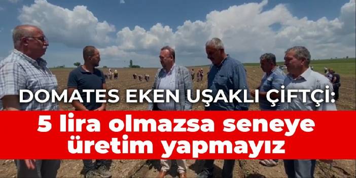 Domates eken Uşaklı çiftçi: 5 lira olmazsa seneye üretim yapmayız