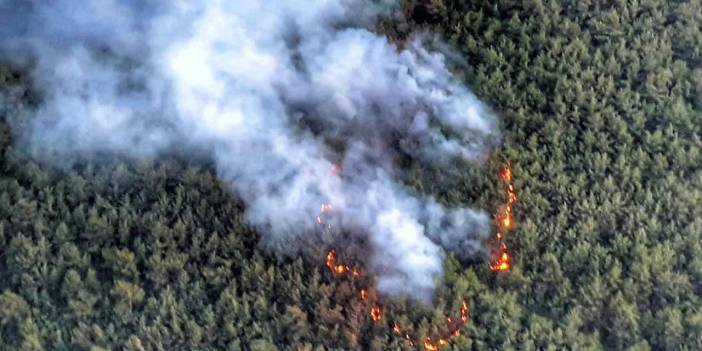 İzmir'de orman yangını