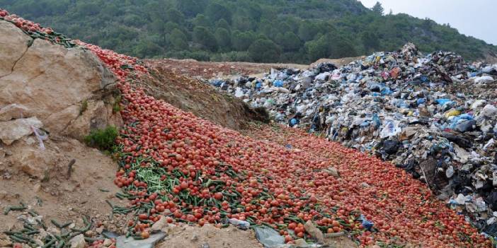 Yüzlerce kilo sebze çöpe döküldü: Sofraya uygun değil