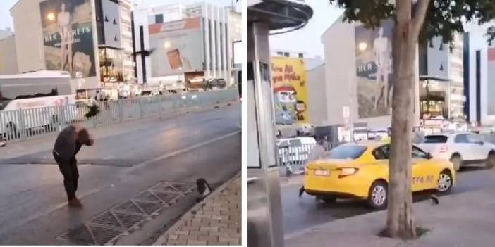 Kadıköy'de kargalar kaldırımdakilere zor anlar yaşattı
