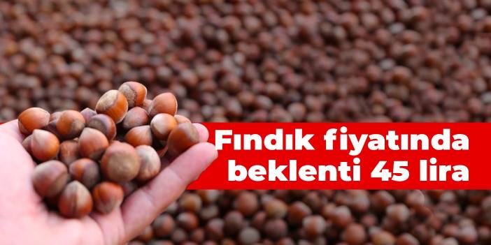 Fındık fiyatında beklenti 45 lira