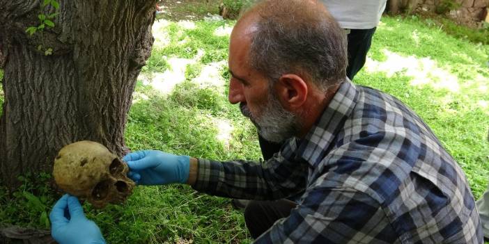 Kazı yapan işçiler, kafatası ve kemik parçaları buldu