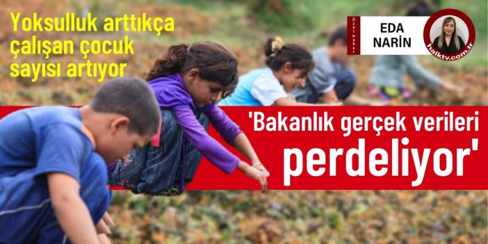 Yoksulluk arttıkça çalışan çocuk sayısı artıyor! 'Bakanlık gerçek verileri perdeliyor'
