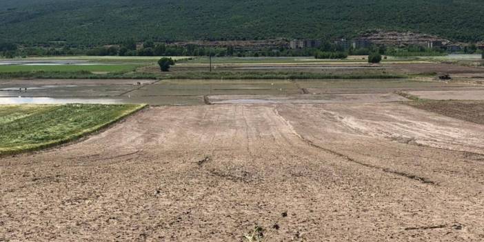 Balıkesirli çiftçi: Kendimizinkini talan edip Venezuela'da yapmaya çalışıyoruz