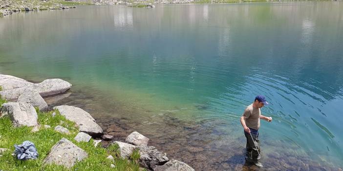 17 gölde 48 yeni alg türü bulundu