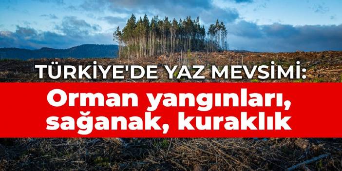 Türkiye'de yaz mevsimi: Orman yangınları, sağanak, kuraklık