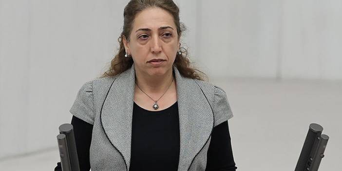 DBP'li Aydeniz raporu, Anayasa-Adalet Karma Komisyonu'nda