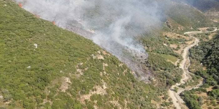 İzmir Karaburun’da orman yangını