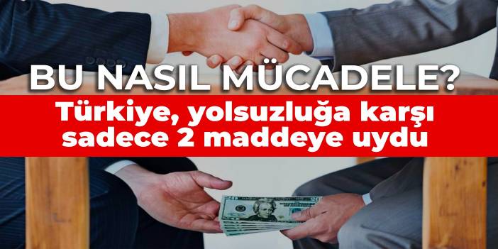 GRECO, Türkiye'de yolsuzlukla mücadele değerlendirme raporunu yayınladı