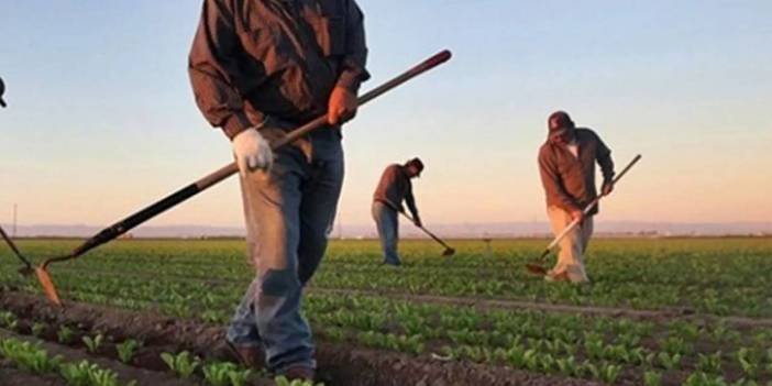 Niğdeli çiftçiler desteksizlikten şikayetçi: Erdoğan'a oy veriyoruz o da bize vuruyor