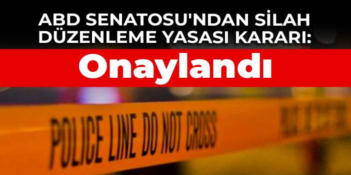 ABD Senatosu'ndan silah düzenleme yasası kararı: Onaylandı