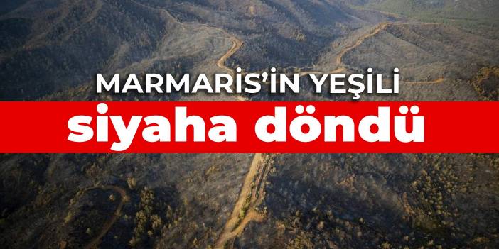 Marmaris'in yeşili siyaha döndü