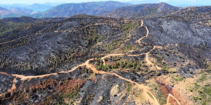 Marmaris'te yanan orman alanı havadan görüntülendi