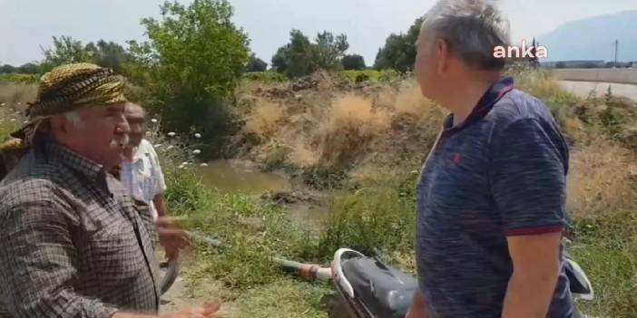 Sulama kanalına sanayi atığı karıştı: Bir tane canlı yok