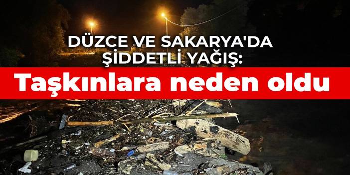 Düzce ve Sakarya'da şiddetli yağış: Taşkınlara neden oldu