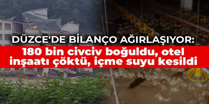 Düzce'de bilanço ağırlaşıyor: 180 bin civciv boğuldu, otel inşaatı çöktü, içme suyu kesildi