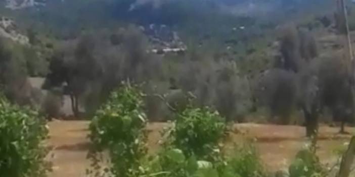 Serik'te orman yangını