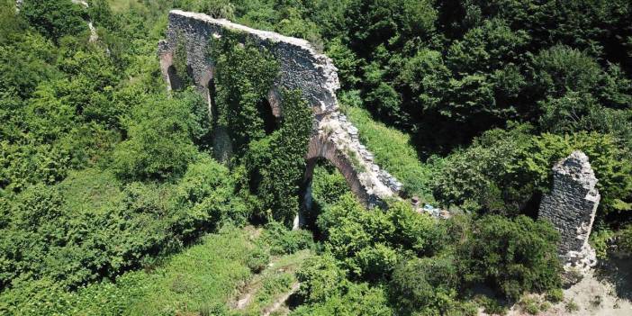 Tarihi köprüde kovan tahribatı