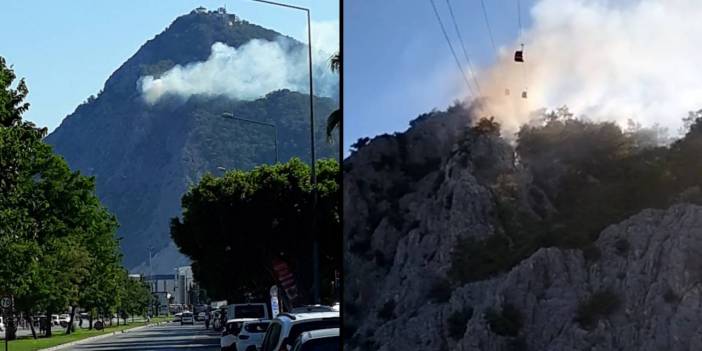 Antalya'da ormanlık alanda yangın